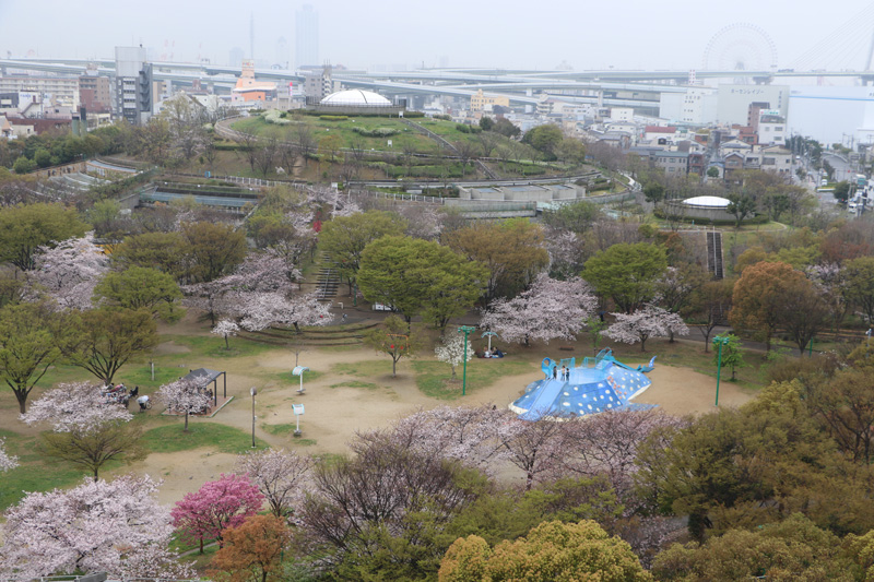 八幡屋公園