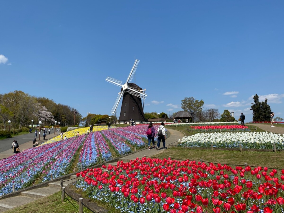 花博記念 公園 鶴見緑地