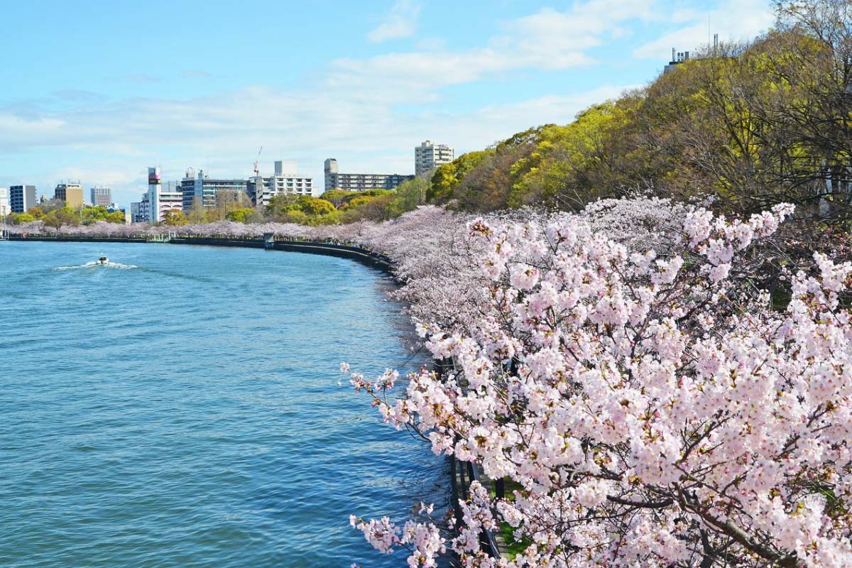 毛馬桜之宮公園