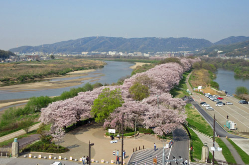 淀川河川公園