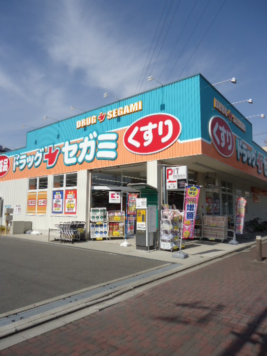 ドラッグセガミ大和田店