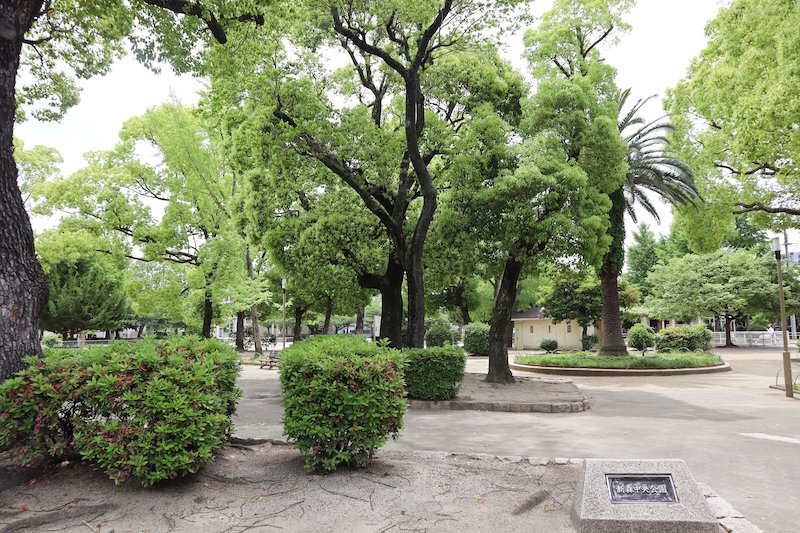 新森中央公園